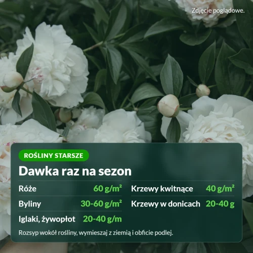 Osmocote 2w1 Ogród: dawka raz na sezon dla roślin starszych