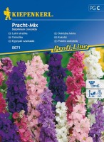 Ostróżka Letnia Mix – Nasiona – Kiepenkerl - przód