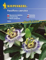 Passiflora / Męczennica – Nasiona – Kiepenkerl - przód