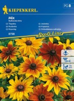 Jeżówka – Rudbekia Owłosiona – Mix – Żółta / Pomarańczowa – Nasiona – Kiepenkerl - przód