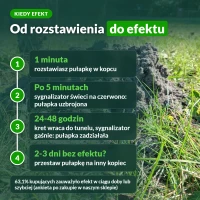 Kretołap: od rozstawienia do efektu, oś czasu