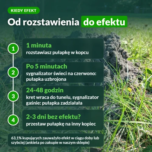 Kretołap: od rozstawienia do efektu, oś czasu