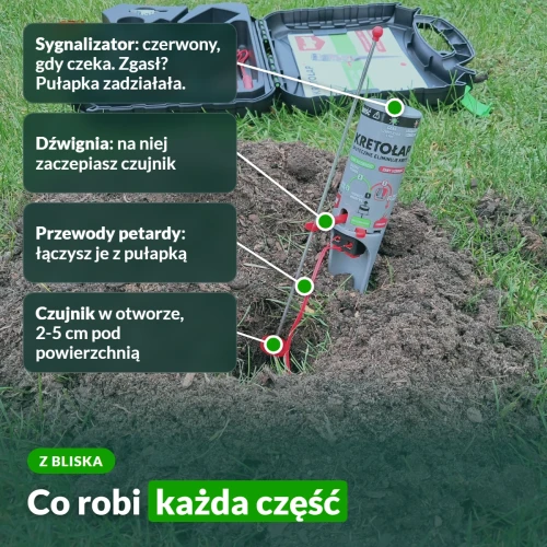 Kretołap z bliska: co robi każda część pułapki