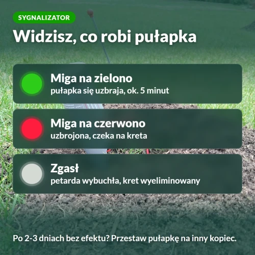 Sygnalizator Kretołapa: co oznaczają kolory