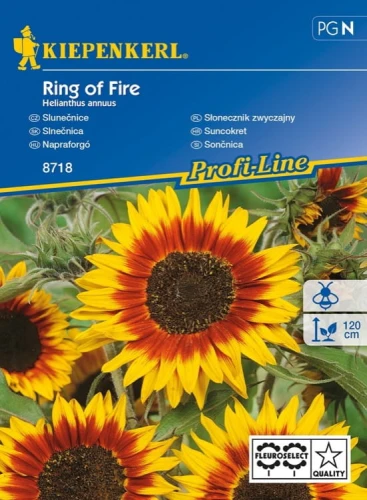 Słonecznik 'Ring of Fire' – Nasiona – Kiepenkerl - przód