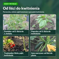 Kiedy stosować Tytanit: pomidor, papryka, truskawka i inne warzywa