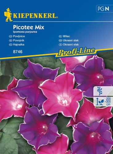 Wilec 'Picotee' Mix – Nasiona – Kiepenkerl - przód