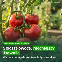 Siarczan potasu Sumin: słodsze owoce, mocniejszy trawnik