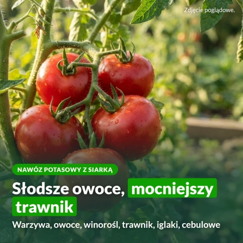 Siarczan potasu Sumin: słodsze owoce, mocniejszy trawnik