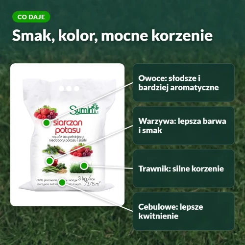 Co daje siarczan potasu: smak owoców, barwa warzyw, korzenie trawnika, kwitnienie cebulowych