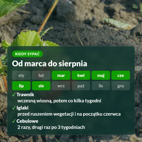 Kiedy sypać siarczan potasu: od marca do sierpnia