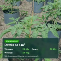 Siarczan potasu: dawki na 1 m² dla warzyw, owoców i winorośli