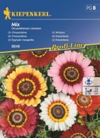 Złocień – Chryzantema Mieszanka – Nasiona – Kiepenkerl - przód