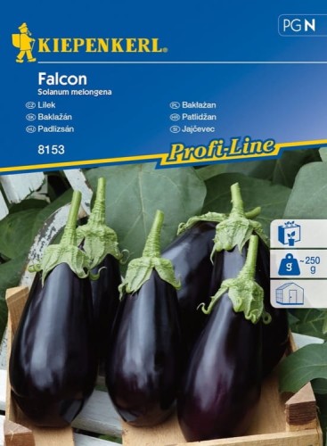 Bakłażan 'Falcon' F1 – Nasiona – Kiepenkerl - przód