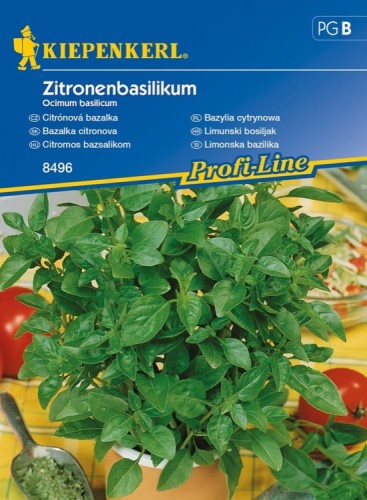 Bazylia Cytrynowa – Nasiona – Kiepenkerl - przód