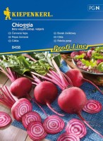 Burak Ćwikłowy 'Chioggia' – Odporny – Nasiona – Kiepenkerl - przód