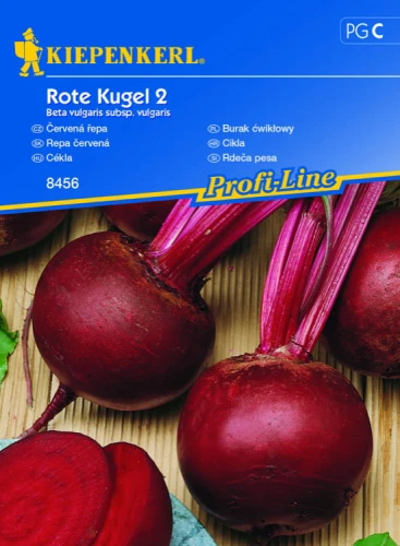 BURAK ĆWIKŁOWY ROTE KUGEL 2 przod.jpg