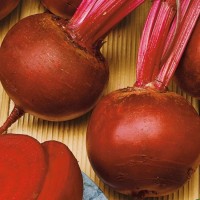 BURAK ĆWIKŁOWY ROTE KUGEL 2.jpg