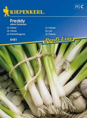 Cebula Siedmiolatka 'Freddy' – Nasiona – Kiepenkerl - przód