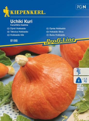 Dynia Hokkaido 'Uchiki Kuri' – Nasiona – Kiepenkerl - przód