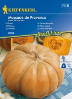 Dynia Olbrzymia 'Muscade de Provence' – Piżmowa – Nasiona – Kiepenkerl - przód