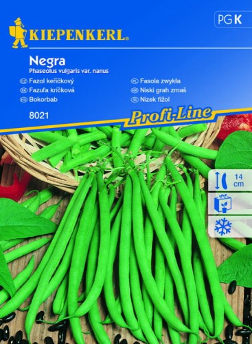 Fasola 'Negra' – Odporna Na Choroby – Nasiona – Kiepenkerl - przód