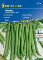 Fasola Szparagowa 'Faraday' – Odporna – Nasiona – Kiepenkerl - przód