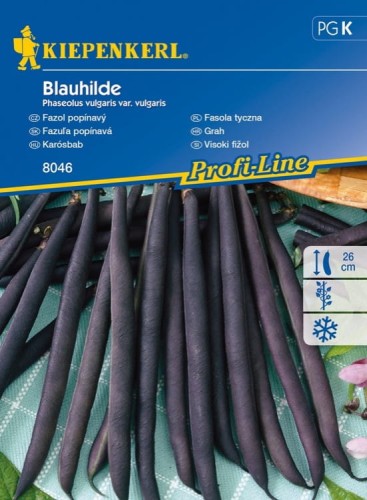 Fasola Tyczna 'Blauhilde' – Fioletowa – Nasiona – Kiepenkerl - przód
