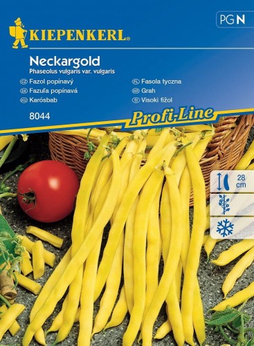Fasola Tyczna 'Neckargold' – Żółta – Nasiona – Kiepenkerl - przód