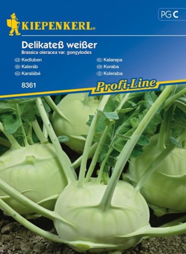 Kalarepa 'Delikateß weißer' – Delikatna – Nasiona – Kiepenkerl - przód