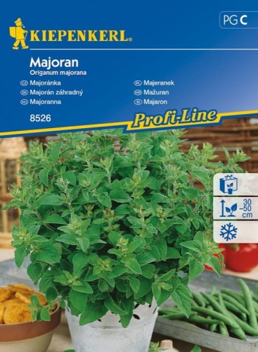 Majeranek Jednoroczny – Nasiona – Kiepenkerl - przód