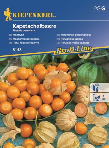 Miechunka Peruwiańska – Rodzynek brazylijski – Nasiona – Kiepenkerl - przód