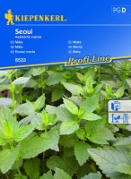 Mięta Koreańska Miododajna 'Seoul' – Nasiona – Kiepenkerl - przód