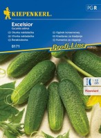 Ogórek Konserwowy 'Excelsior' F1 – Gruntowy – Nasiona – Kiepenkerl - przód