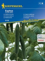 Ogórek Szklarniowy 'Euphya' F1 – Długi – Nasiona – Kiepenkerl - przód