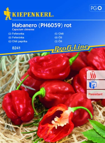 Papryka Czerwona 'Habanero' F1 – Nasiona – Kiepenkerl - przód