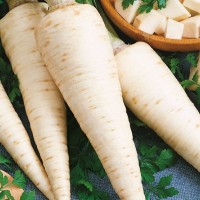 Pietruszka Korzenna 'Halblange' – Nasiona – Kiepenkerl