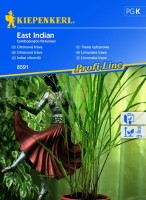 Trawa Cytrynowa Całoroczna 'East Indian' – Nasiona – Kiepenkerl - przód