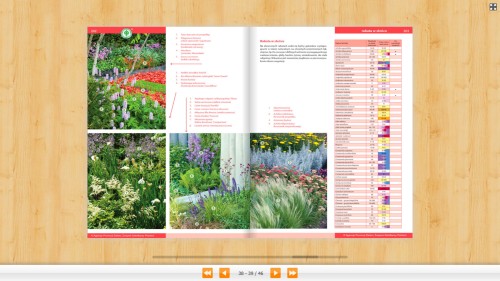 Katalog Bylin – Kwiaty Trawy Paprocie – Związek Szkółkarzy Polskich - aranżacje, inspiracje, tabele
