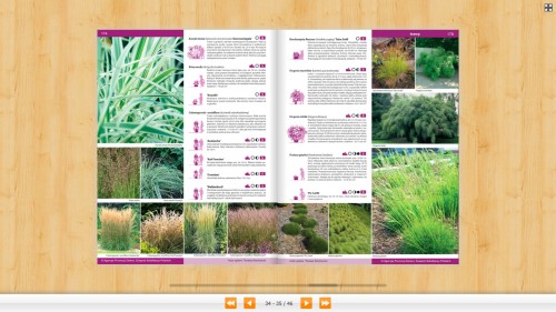 Katalog Bylin – Kwiaty Trawy Paprocie – Związek Szkółkarzy Polskich - opisy roślin