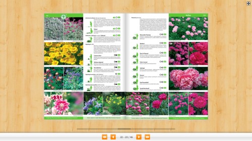 Katalog Bylin – Kwiaty Trawy Paprocie – Związek Szkółkarzy Polskich - opisy roślin