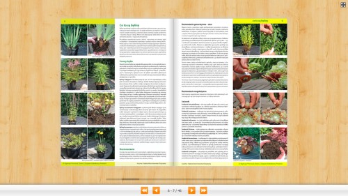 Katalog Bylin – Kwiaty Trawy Paprocie – Związek Szkółkarzy Polskich - pielęgnacja, ochrona