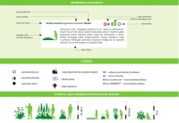 Katalog Bylin – Kwiaty Trawy Paprocie – Związek Szkółkarzy Polskich - wnętrze książki