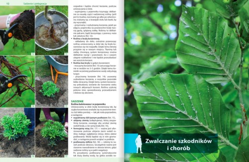 Rośliny Do Każdego Ogrodu – Poradnik - porady