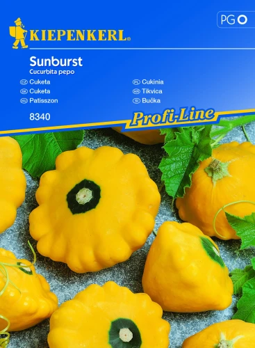 Patison 'Sunburst' – Nasiona – Kiepenkerl - przód