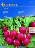 Rzodkiewka 'Lucia' F1 – Wczesna – Nasiona – Kiepenkerl - przód