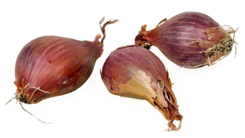 4813
