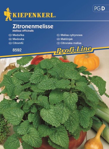 Melisa Cytrynowa Wieloletnia – Nasiona – Kiepenkerl - przód