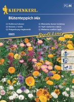 Dywan Kwiatowy Mieszanka – Nasiona – Kiepenkerl - przód