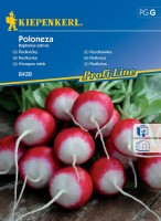 Rzodkiewka 'Poloneza' – Nasiona – Kiepenkerl - przód